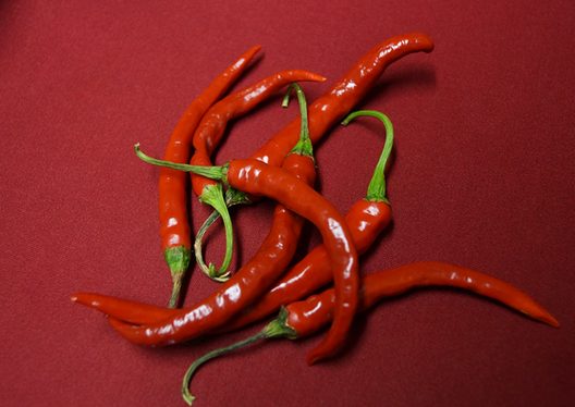 Cayenne Long Slim Unsere Chilis: Cayenne Long Slim